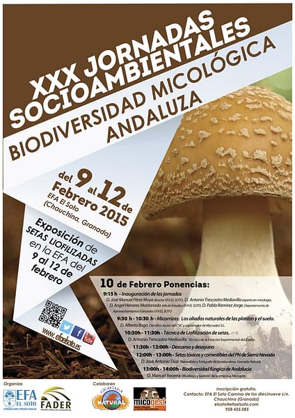 Efa_Cartel_XXXJornada_Biodiversidad_micologica_BR